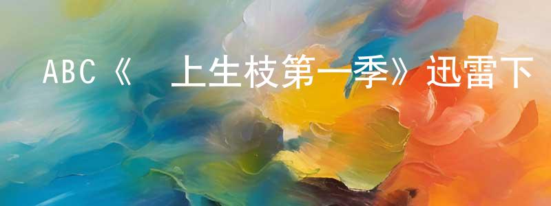 程響發布ABC《節上生枝第一季》迅雷下載/在線觀看/百度云-都市/情感-美劇天堂